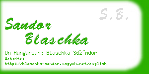 sandor blaschka business card